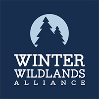 Winter Wildlands